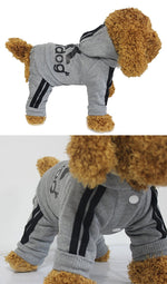 Adidog hoodie for your dog