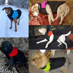 Waterproof Dog Vest Jacket