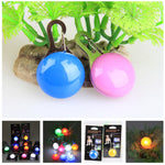 Mini Pet Safety Keyring Night Light