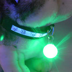 Mini Pet Safety Keyring Night Light