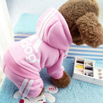 Adidog hoodie for your dog