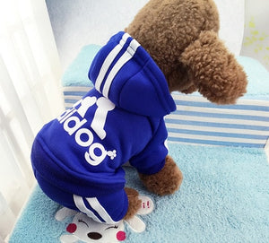 Adidog hoodie for your dog