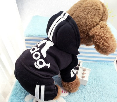 Adidog hoodie for your dog