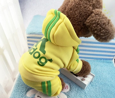 Adidog hoodie for your dog