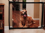 Dog Safe Guard Gate