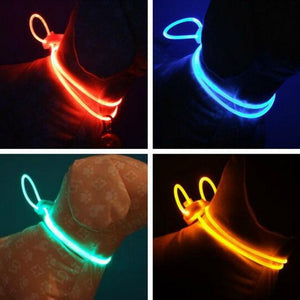 High Quality LED Pet Collar