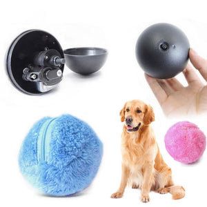 Magic Roller Ball